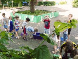 17-06-25_Die-Sportstunde-fiel-ins-Wasser-1